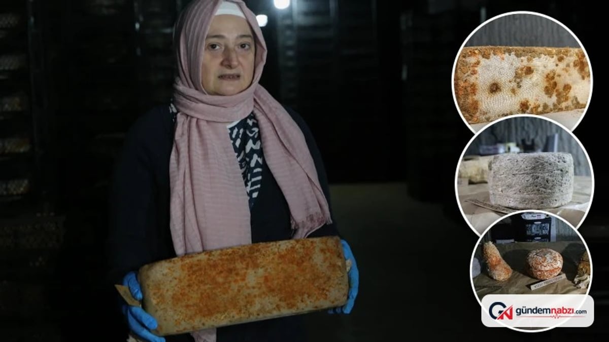 Niğde'deki mağaralarda üretilen Tabal peyniri yurt dışından ilgi görüyor