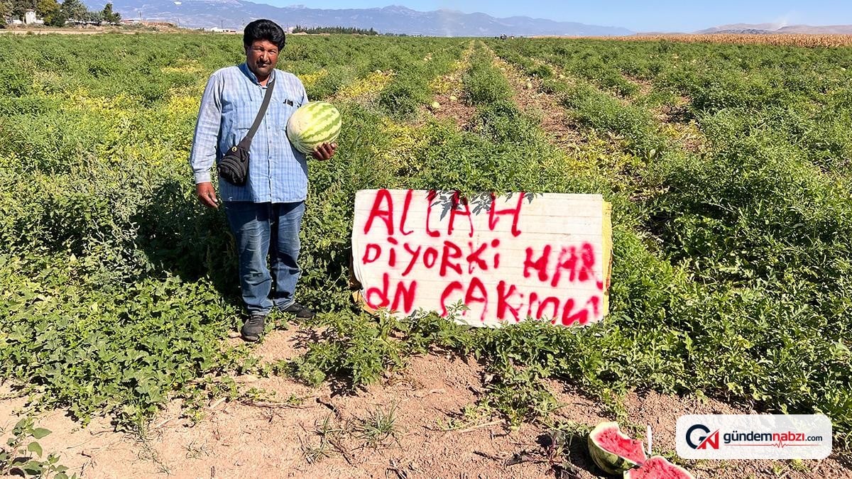Karpuz hırsızlığına karşı tabela astı: 'Allah diyor ki haramdan sakının'
