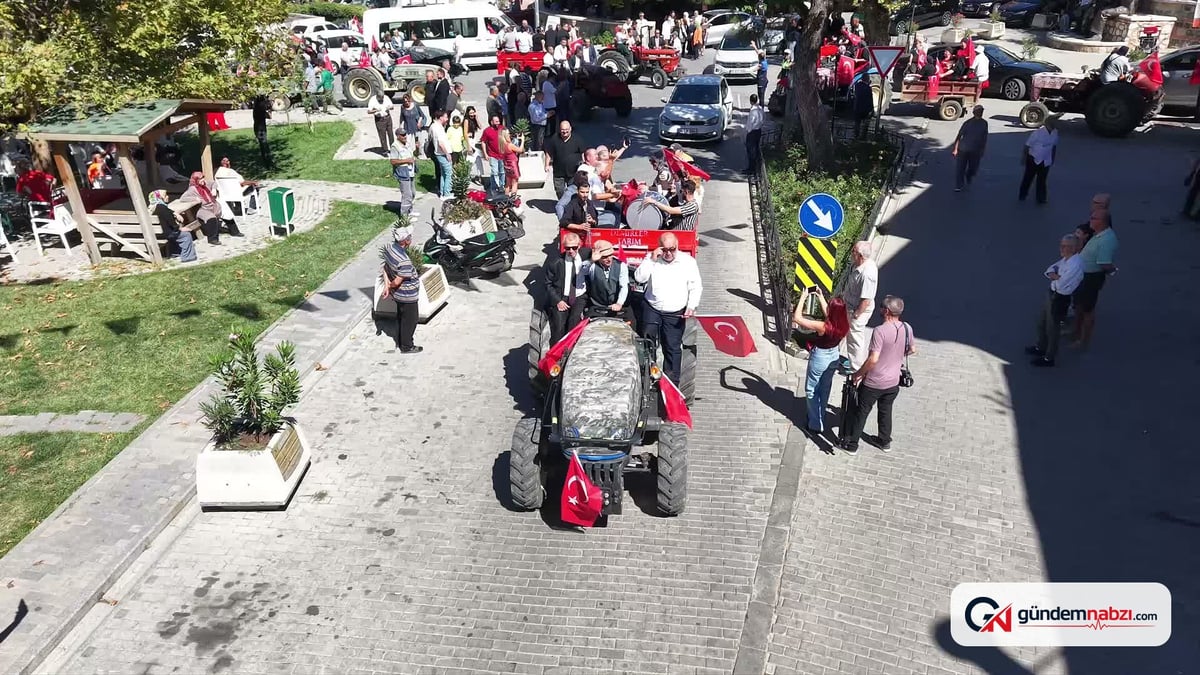 Bursa Gemlik'te zeytin hasat şenliği düzenlendi