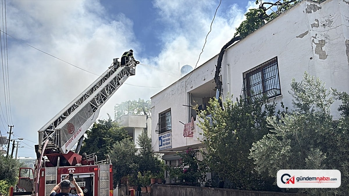 Osmaniye'de kümes yangınında kişi yaralandı