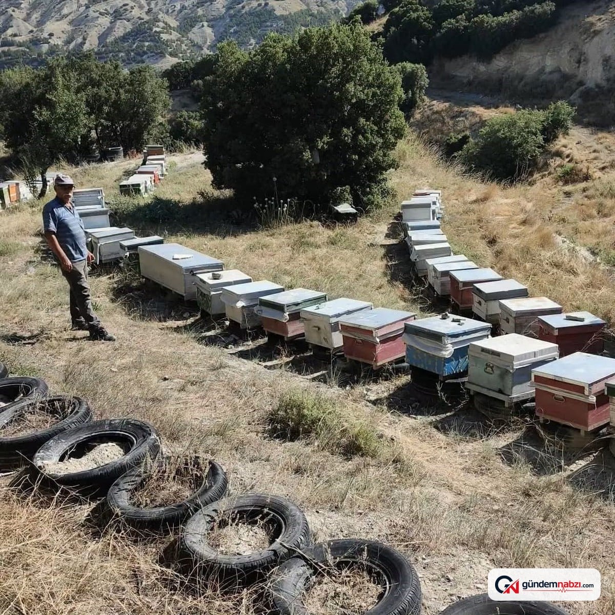 Burdur'da arıcılık destekleri için arılı kovan tespitleri yapılıyor
