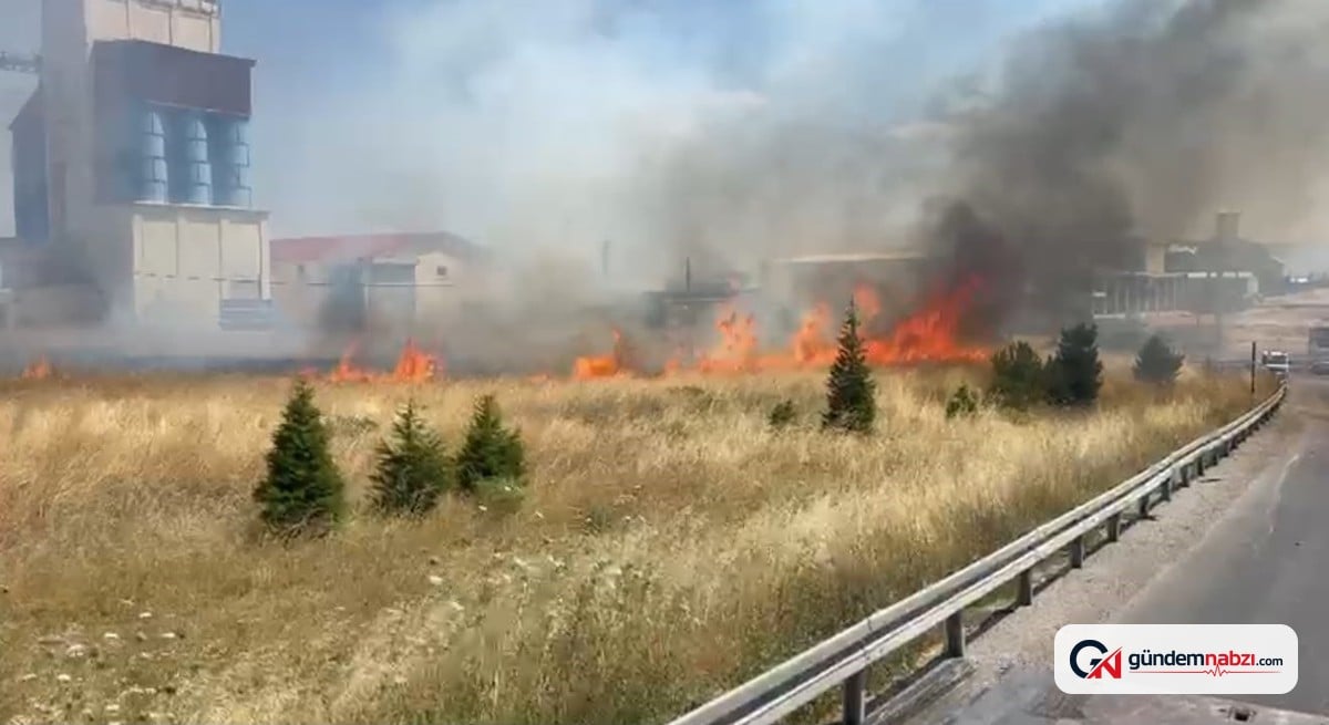 Afyonkarahisar'da anız yangını trafiği aksattı