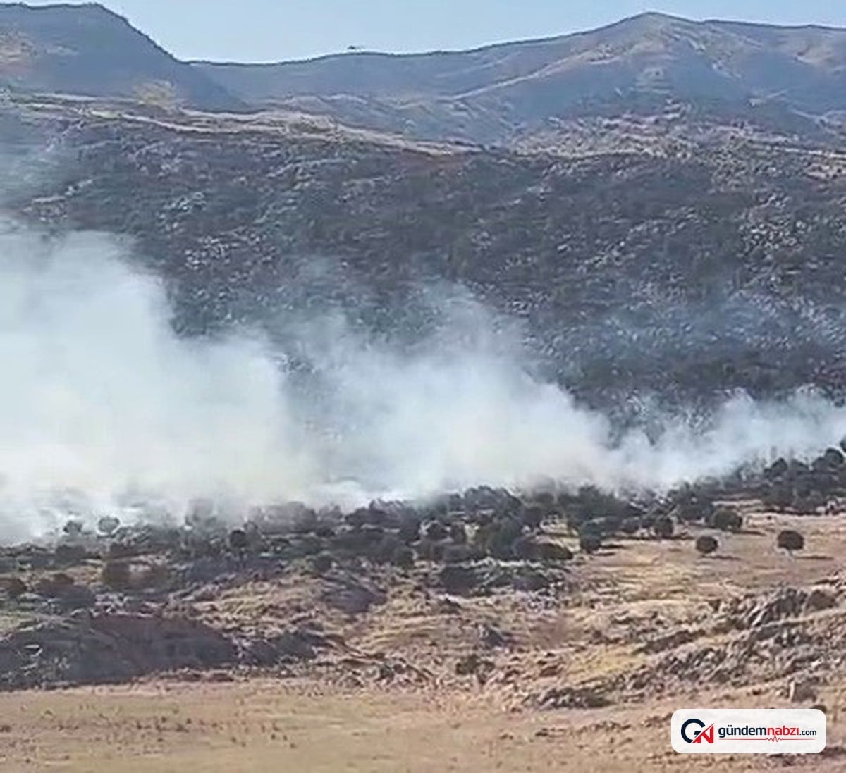 Adıyaman'da orman yangını paniği