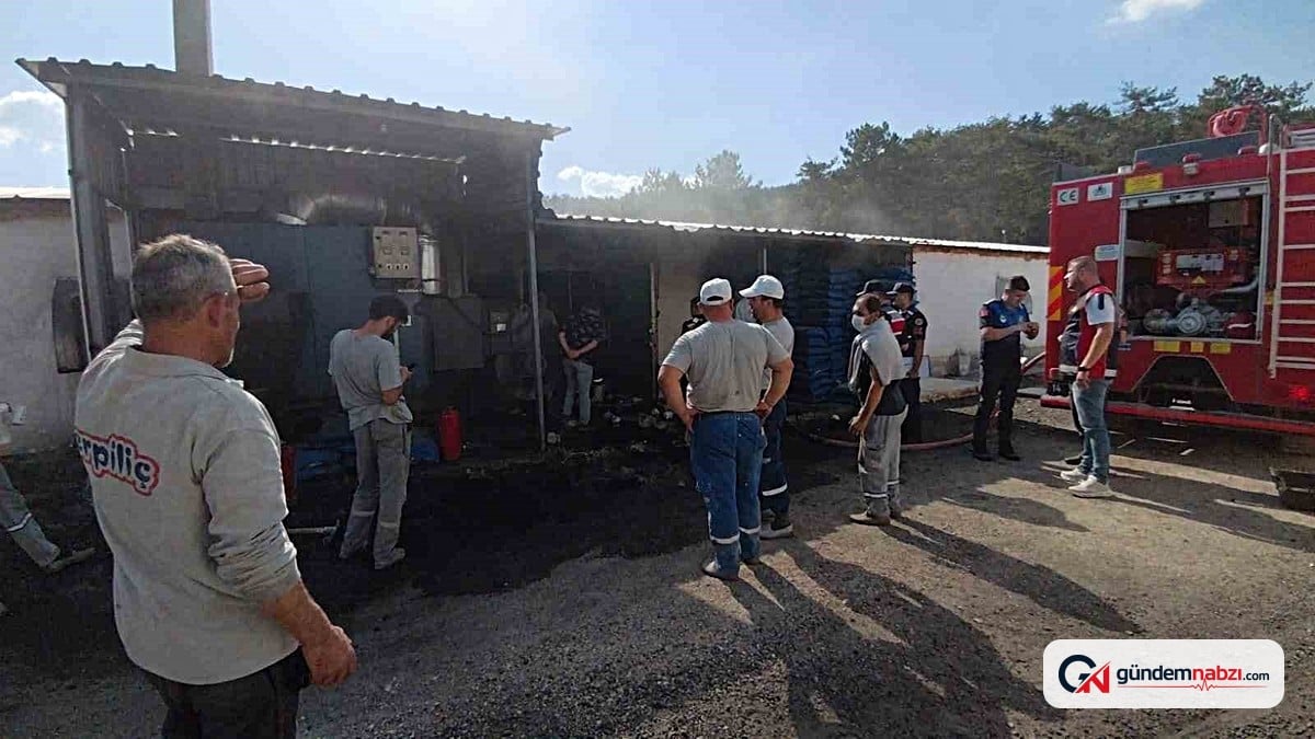 Bolu'da Erpiliç kümeslerinde yangın paniği