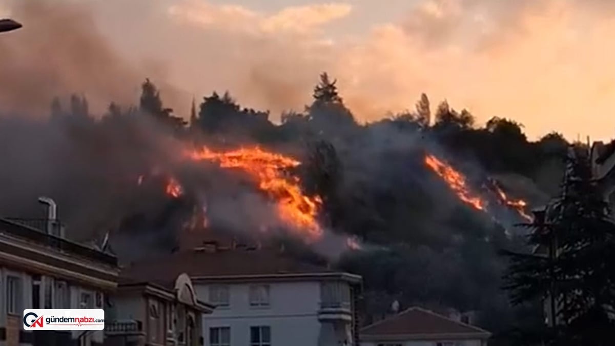 Ankara'da otluk alandaki yangın binalara sıçradı