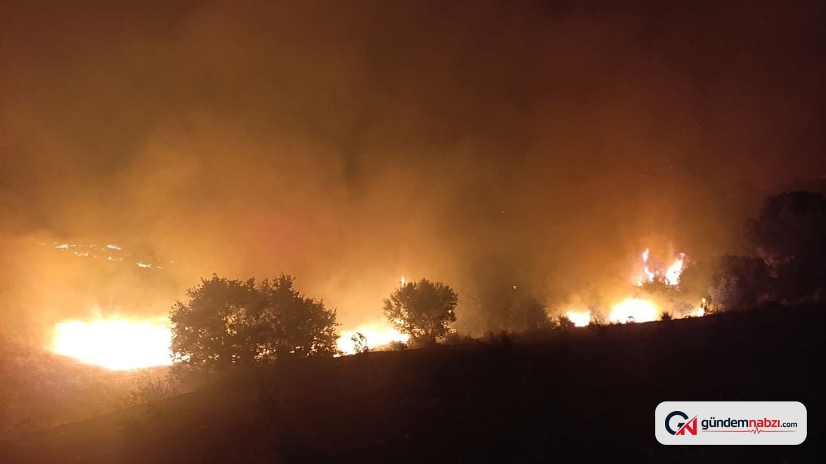 Manisa Kula'da makilik yangını kontrol altına alındı