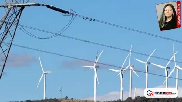 Ordu, Tokat ve Sivas'taki RES projesi için ÇED süreci ilerliyor
