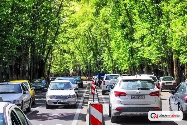 Ağaçlar yaşlılarda depresyonu azaltıyor