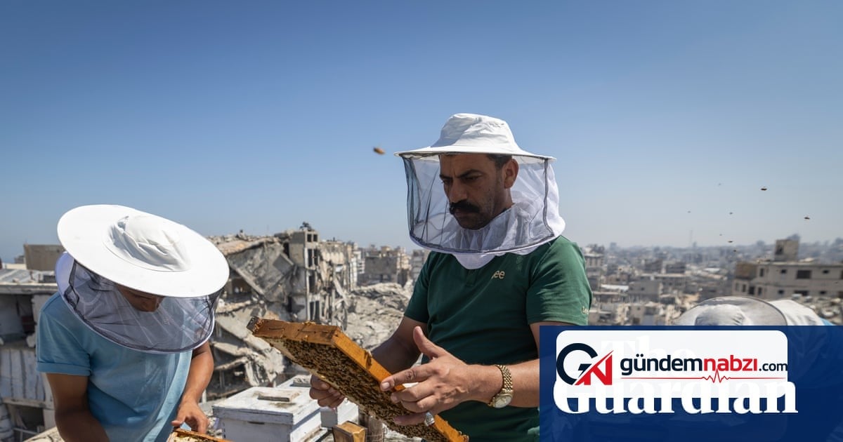 Gazze'de arıcı 400 kovandan 35 kovana düştü