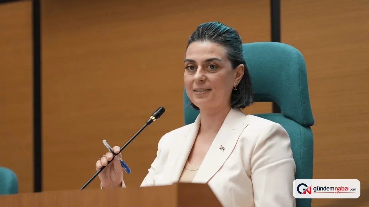 Sinem Dedetaş gözaltına alındı, rüşvet soruşturmasında detaylar