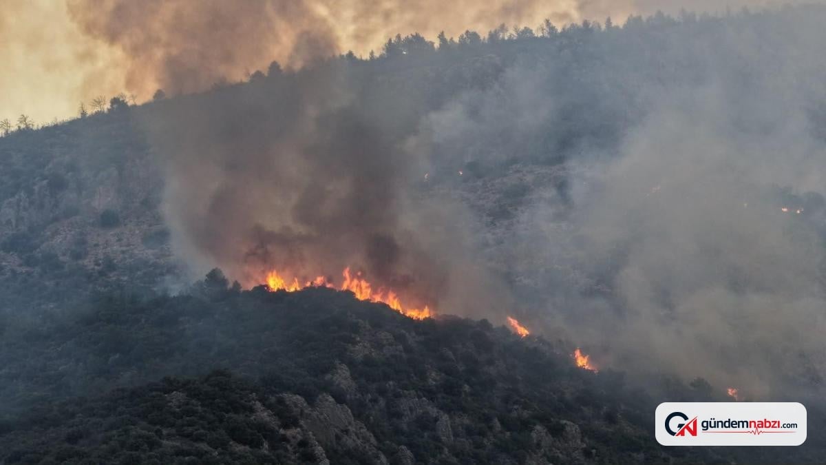 Antalya'da orman yangınına ikinci günde havadan ve karadan müdahale