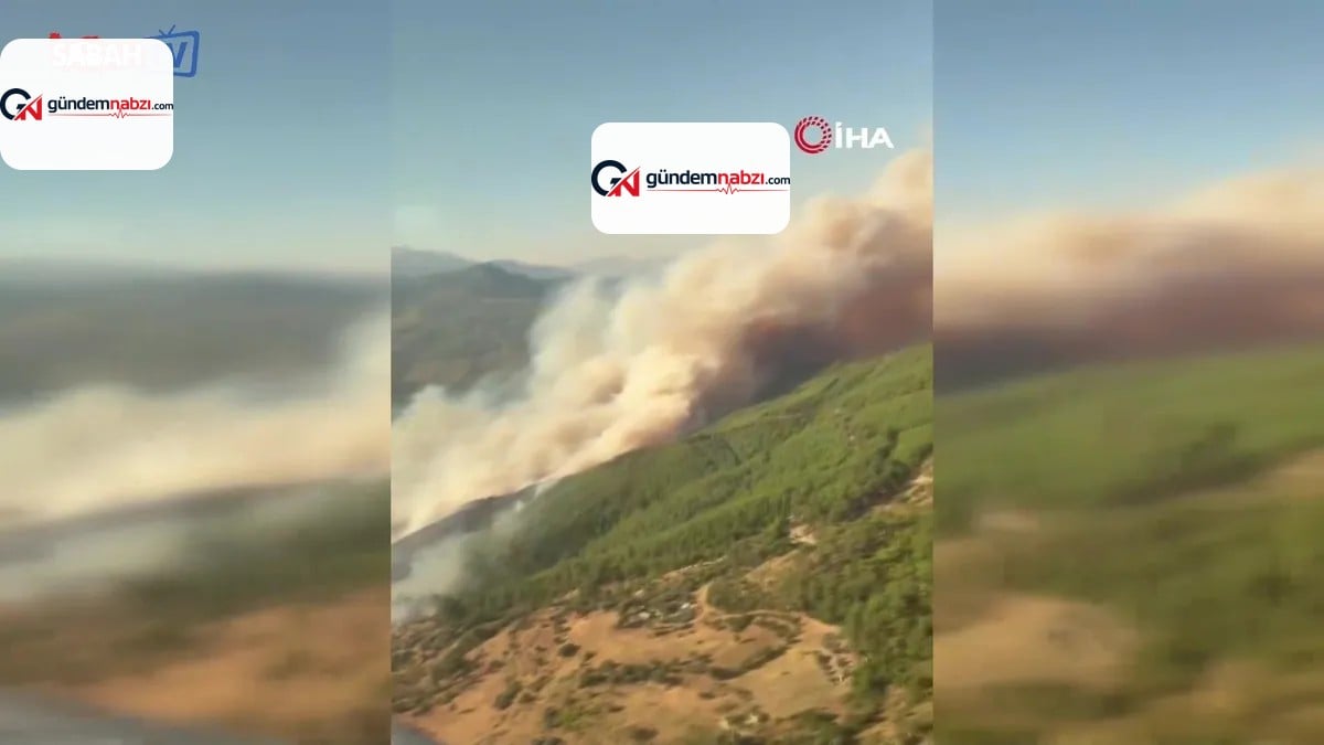 Muğla Seydikemer'de orman yangını: Ekiplerin müdahalesi devam ediyor