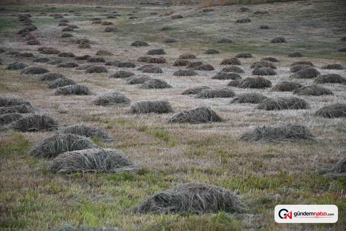 Şırnak'ta kış hazırlıkları başladı
