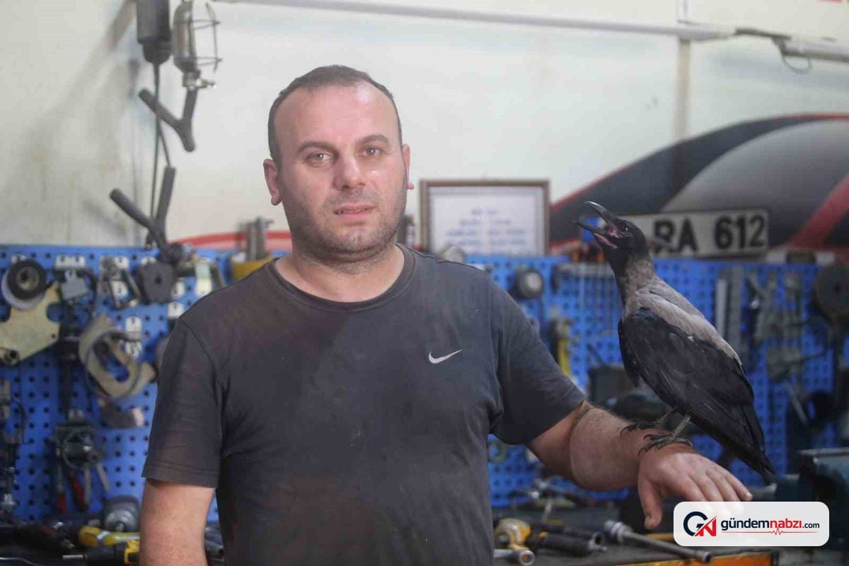 Karganın otomobil tamircisiyle dostluğu dikkat çekiyor