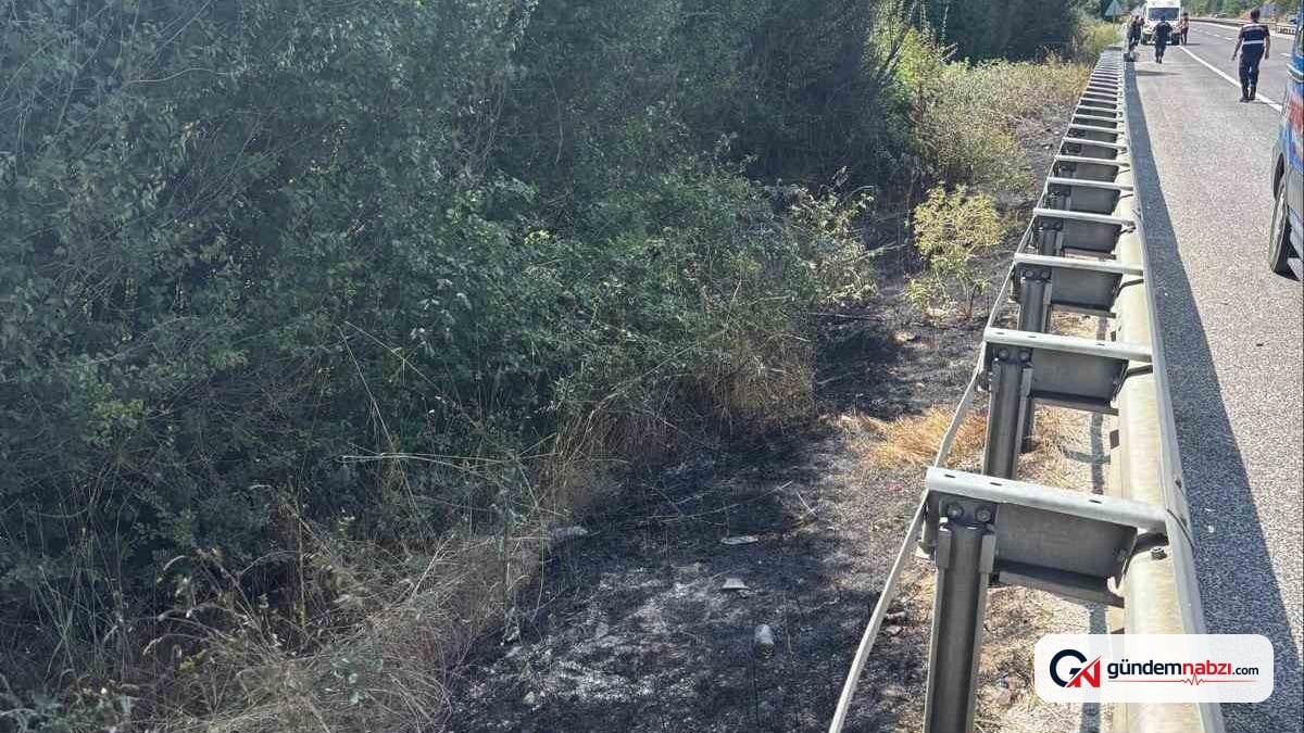 Bilecik'te otluk alandaki yangın ormana sıçramadan söndürüldü