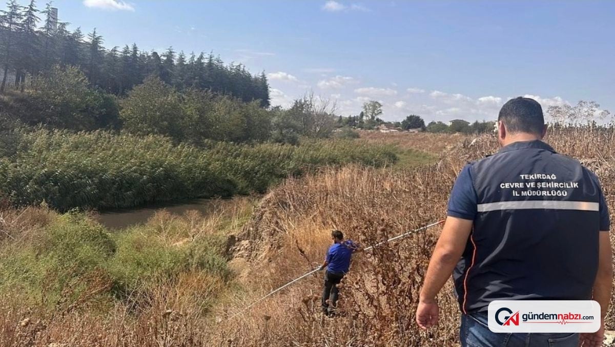 Tekirdağ’da çevre denetimlerinde 22 işletmeye 14 milyon ceza