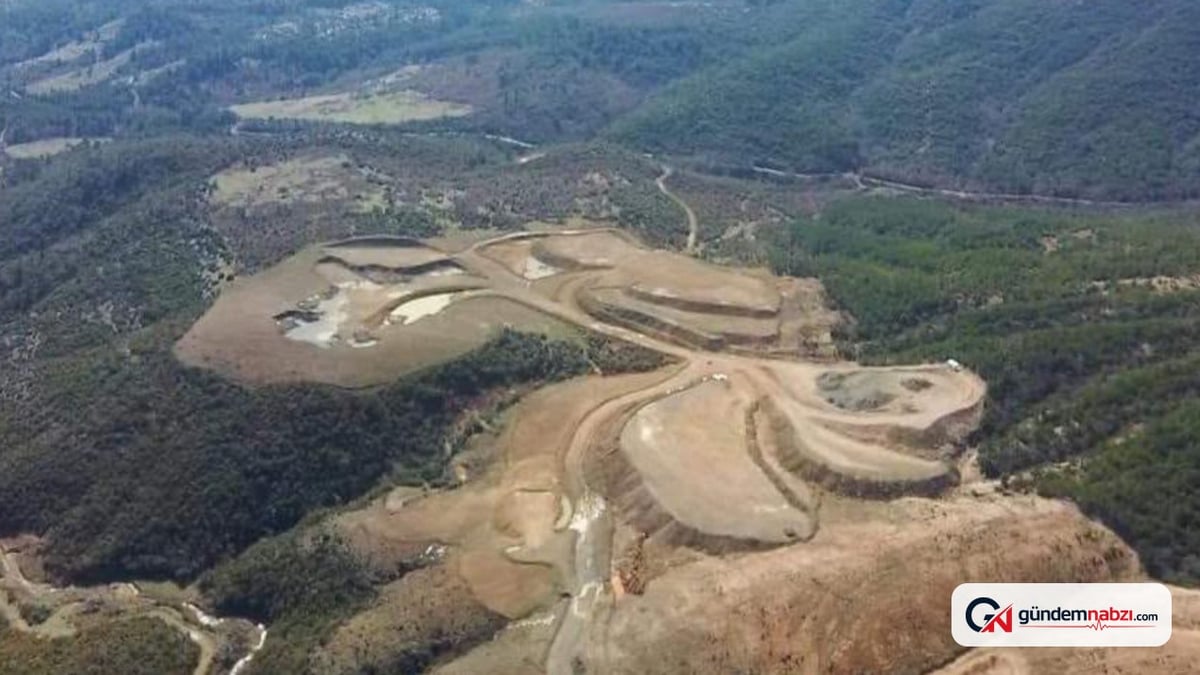 23 bin ağaç kesilecekti: Akçansa'nın ÇED kararı iptal edildi