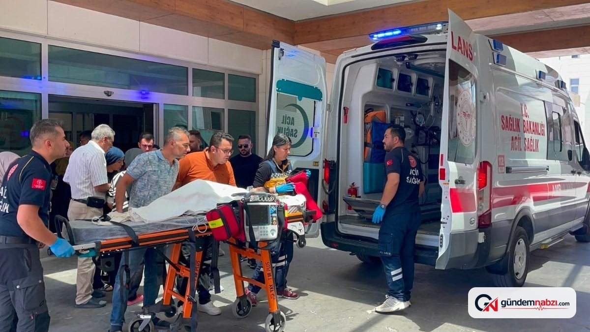 Karaman'da 3 yaşındaki çocuğa köpek saldırdı