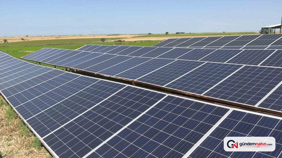 Edirne'de çiftçiler dronla ilaçlıyor, güneş enerjisiyle suluyor
