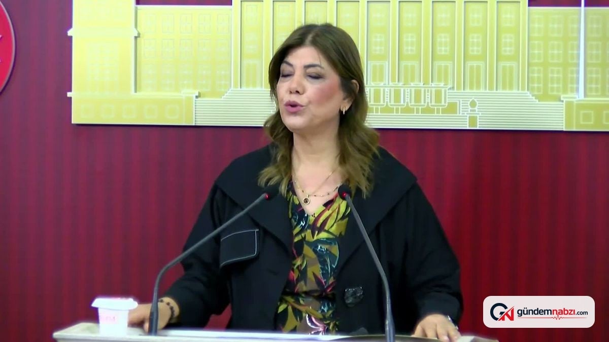 Meral Danış Beştaş: Çocuk yoksulluğu temel bir insan hakları sorunudur