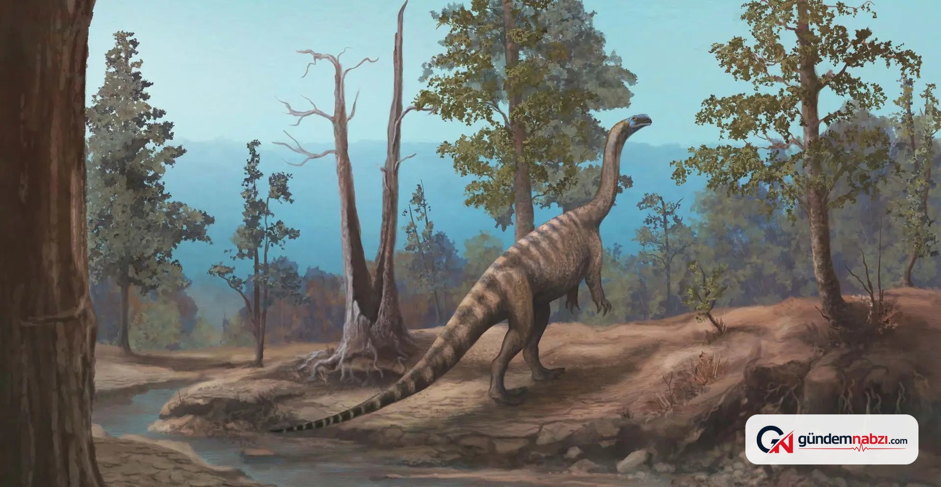 Zimbabve'de 210 milyon yıllık yeni dinozor türü bulundu