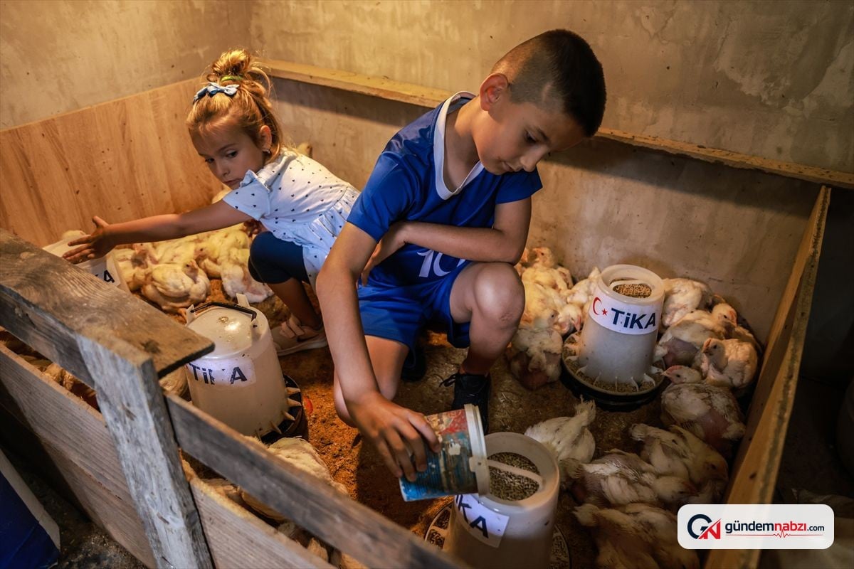 TİKA'dan Bosna Hersek'teki yetim ailelerine kümes hayvancılığı desteği