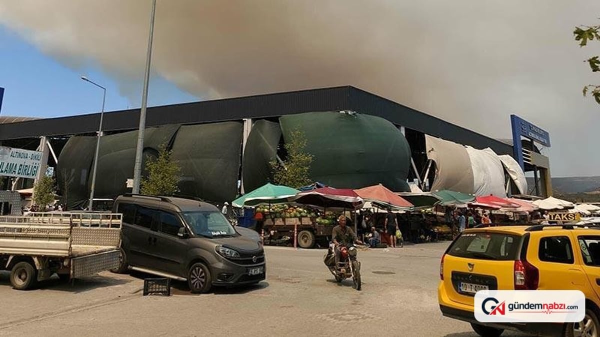 Balıkesir'deki yangının dumanları Midilli'ye ulaştı