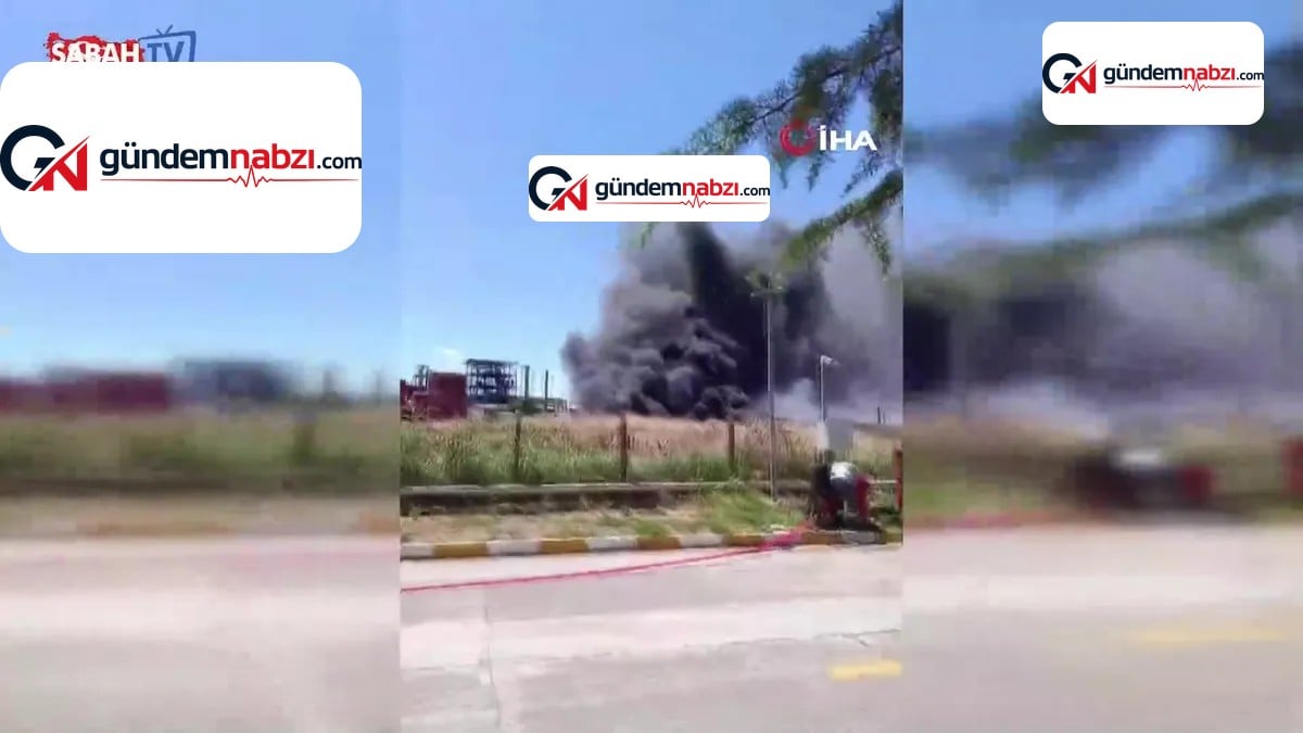 Kırklareli'nde kimya fabrikasında yangın çıktı