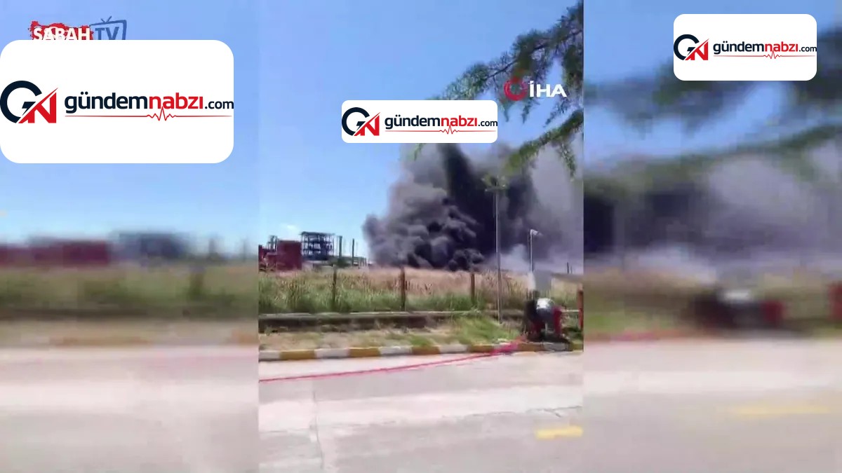 Kırklareli'nde kimya fabrikasında yangın çıktı