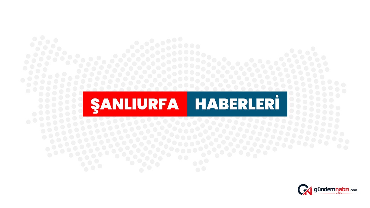 Şanlıurfa'da otomobil şarampole devrildi: 4 yaralı