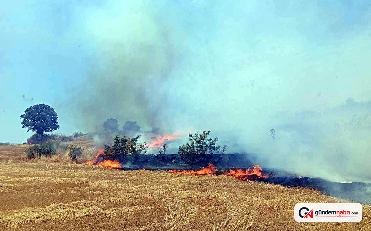 Edirne'de tarlada çıkan yangın 1 saatte söndürüldü