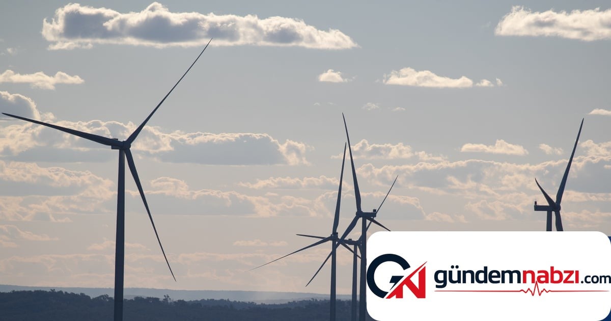 Avustralya'da yenilenebilir enerji zirvesi: Güven sorunu uyarısı