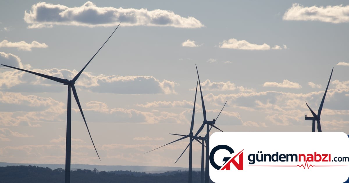 Avustralya'da yenilenebilir enerji zirvesi: Güven sorunu uyarısı