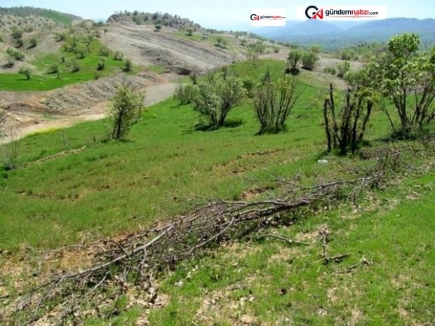 Merkezi'nde 536 madde vahide dosyası karara bağlandı