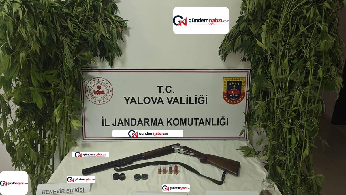 Yalova'da uyuşturucu operasyonunda 2 şüpheli yakalandı