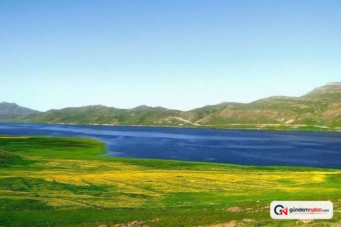 Anzali sulak alanı'nın ihyası için ulusal Destek Vurgusu