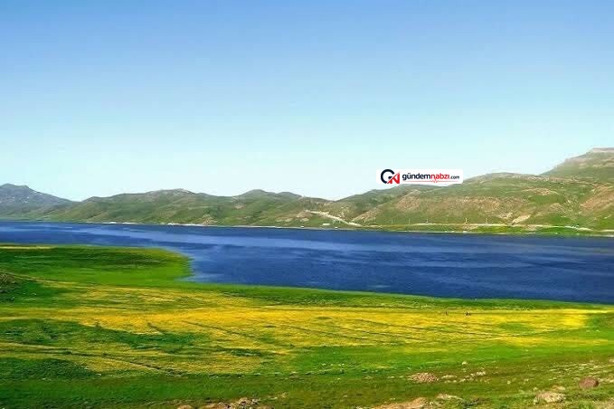 Anzali sulak alanı'nın ihyası için ulusal Destek Vurgusu