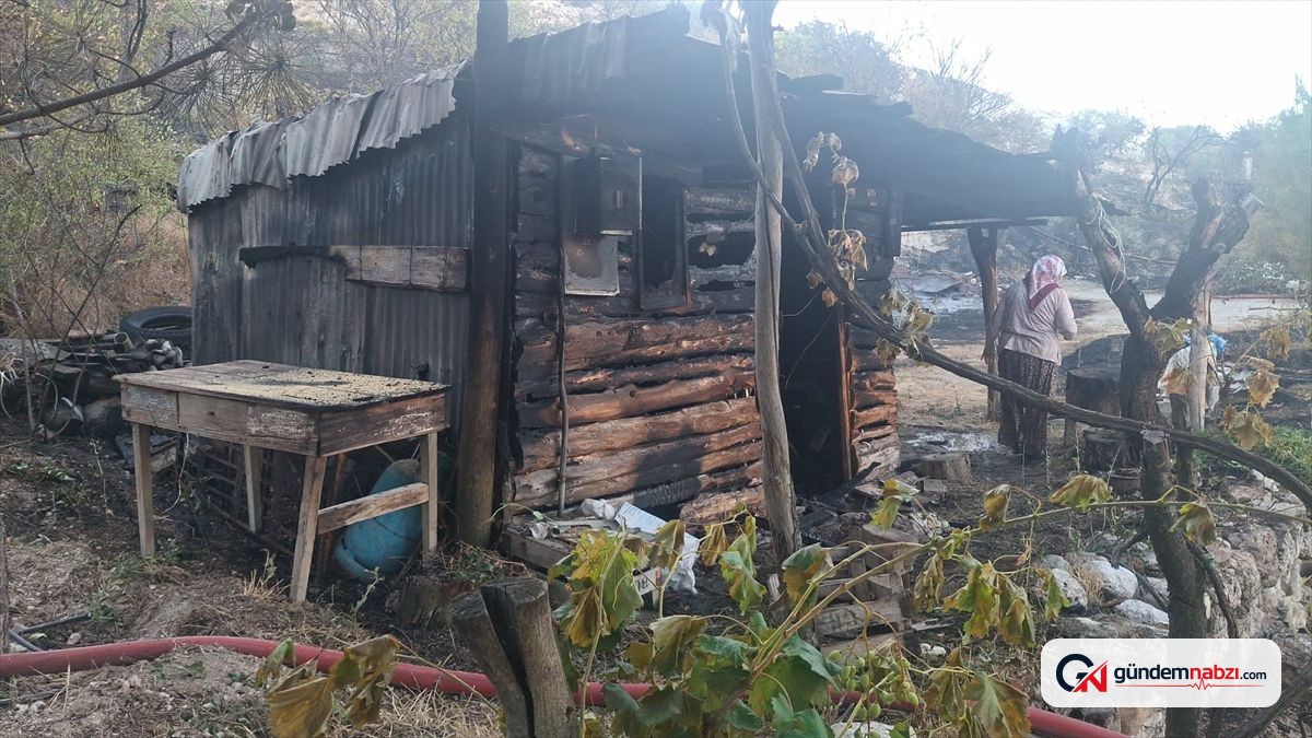 Ankara'da otluk alanda yangın: İki bağ evi zarar gördü