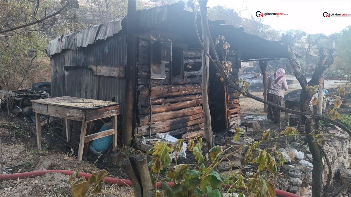 Ankara'da otluk alanda yangın: iki bağ evi zarar gördü