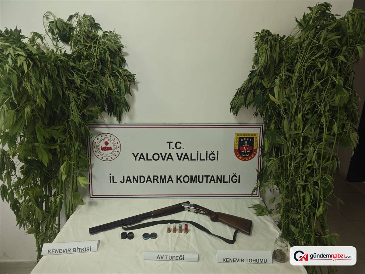 Yalova'da uyuşturucu operasyonunda 2 şüpheli yakalandı