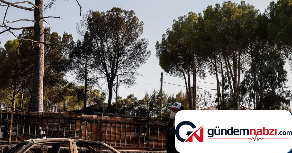 İspanya'da orman yangınlarının ardından evlerine dönen halk manzarayla karşılaştı