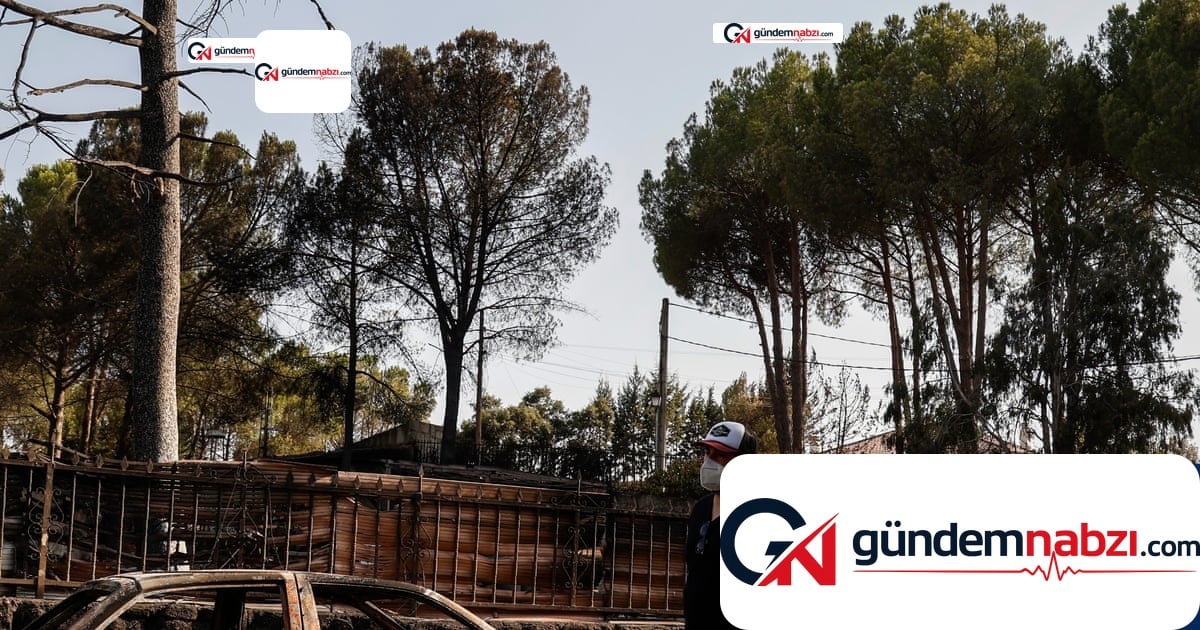 İspanya'da orman yangınlarının ardından evlerine dönen halk manzarayla karşılaştı