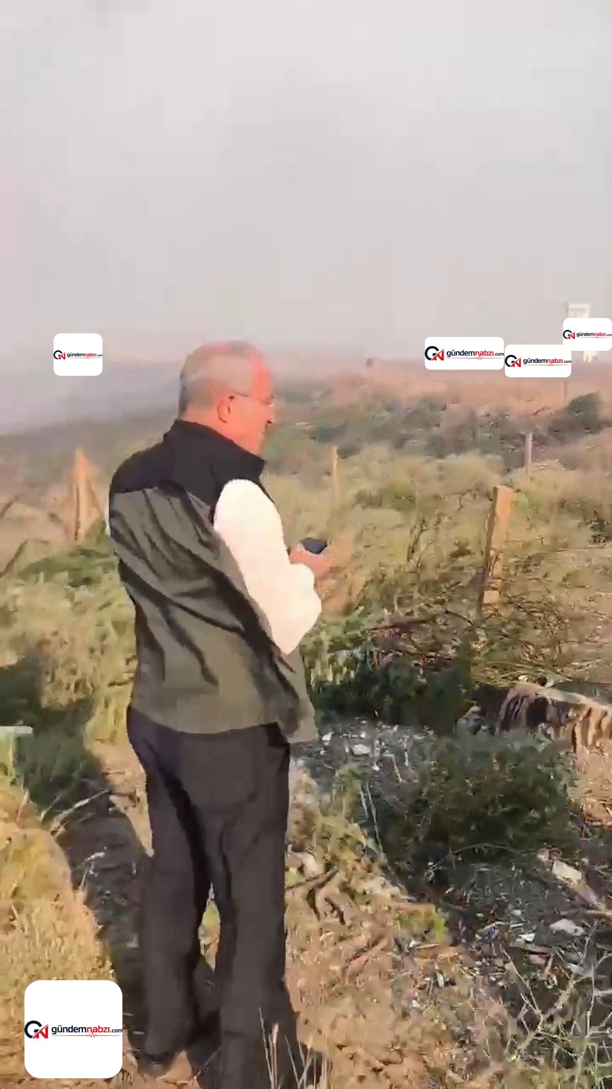 Çanakkale'de Orman yangını çıktı