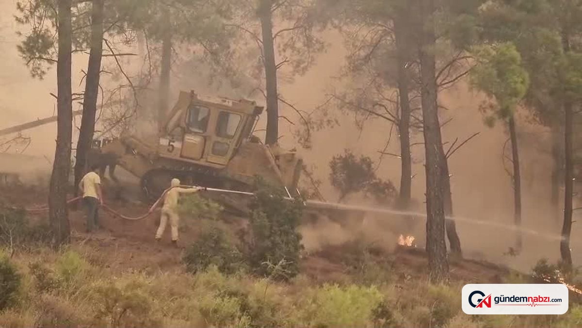 Muğla'da zirai yangın ormana sıçradı