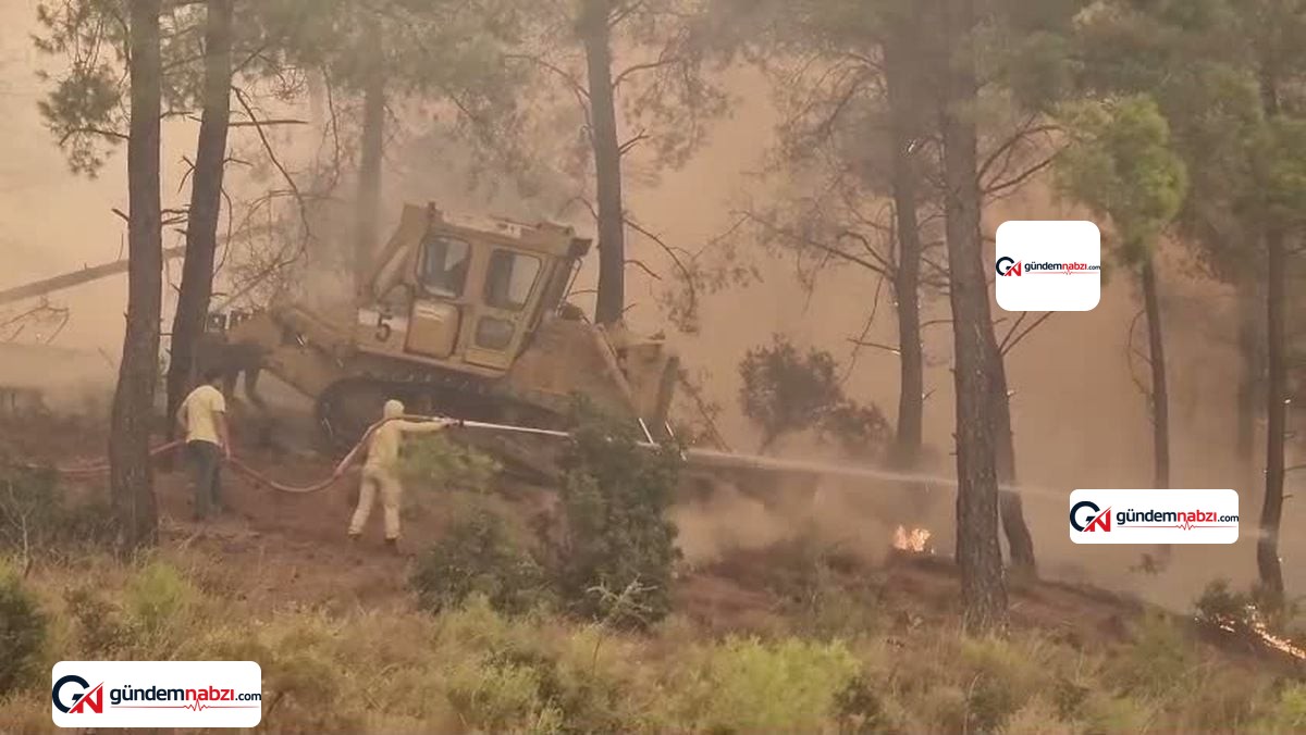 Muğla'da zirai yangın ormana sıçradı