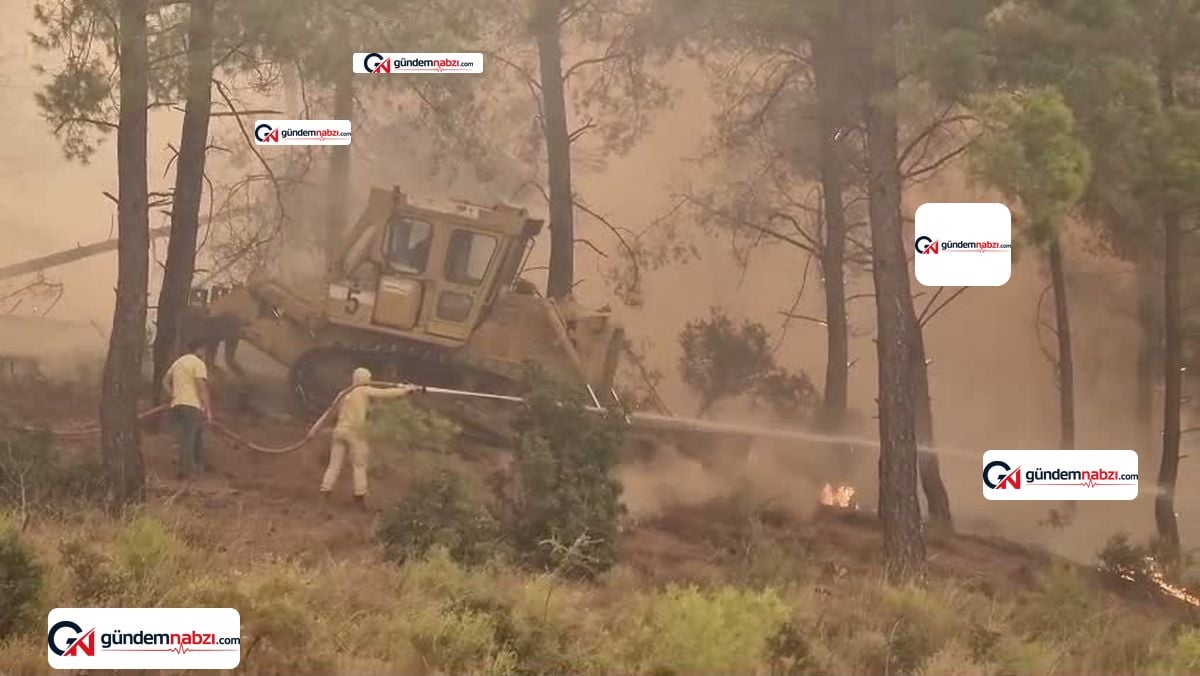 Muğla'da Orman yangını evlere sıçradı