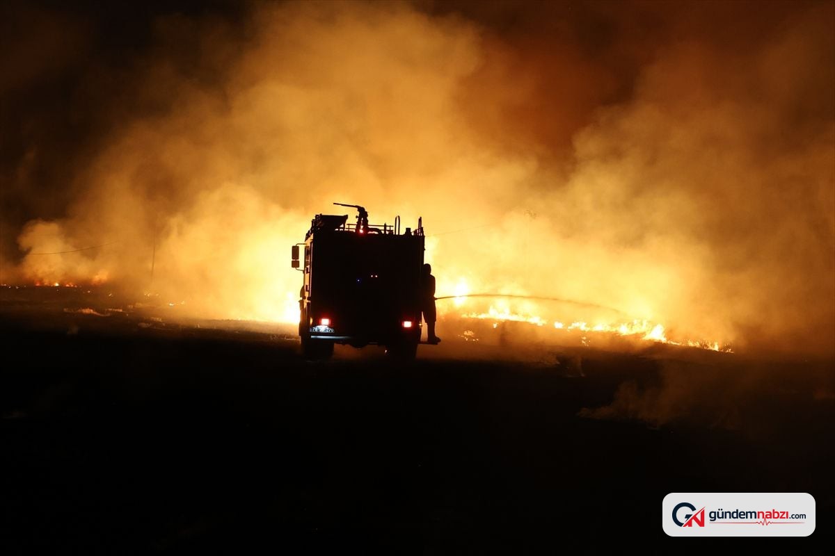 Iğdır'da anız yangını yerleşim yerlerine sıçramadan söndürüldü