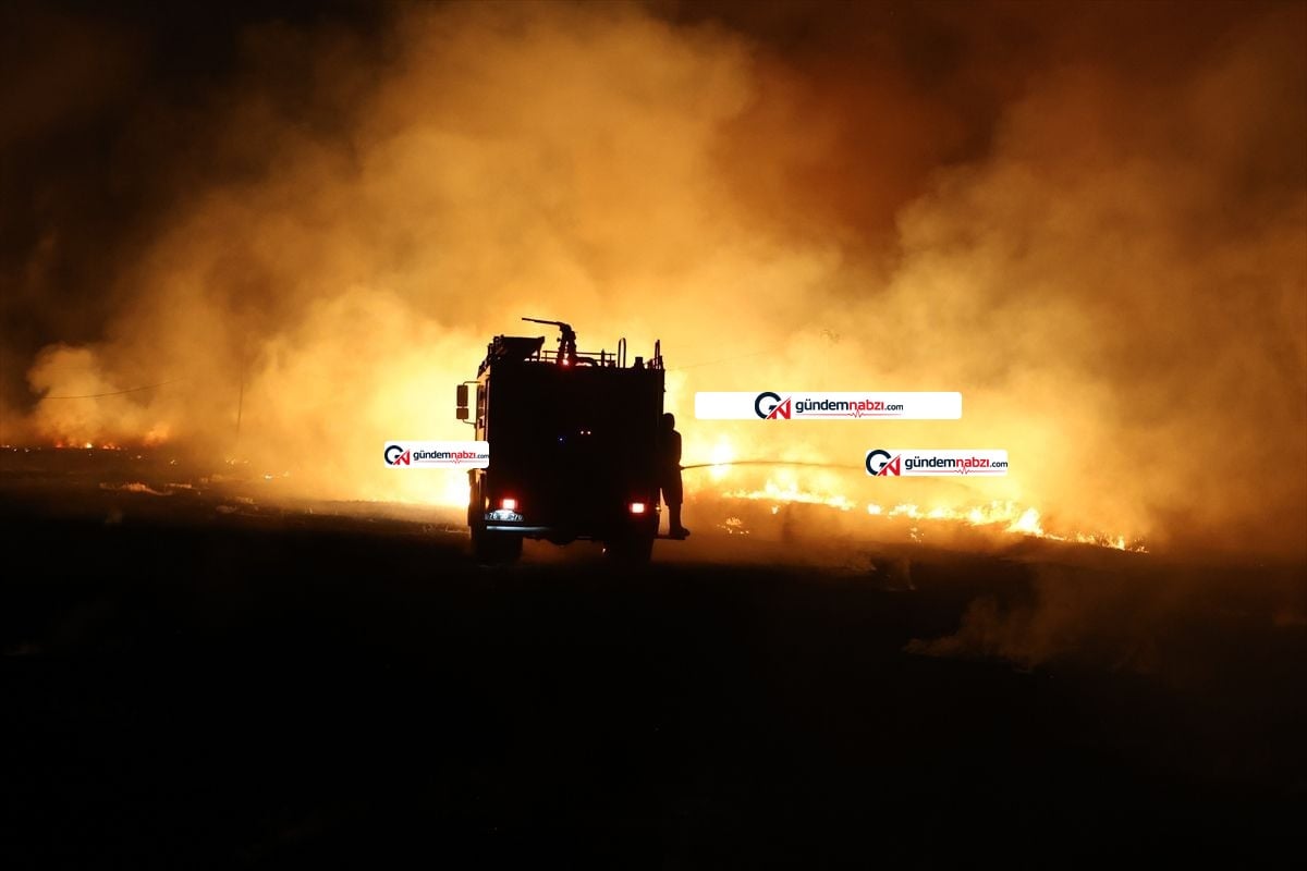 Iğdır'da anız yangını yerleşim yerlerine sıçramadan söndürüldü