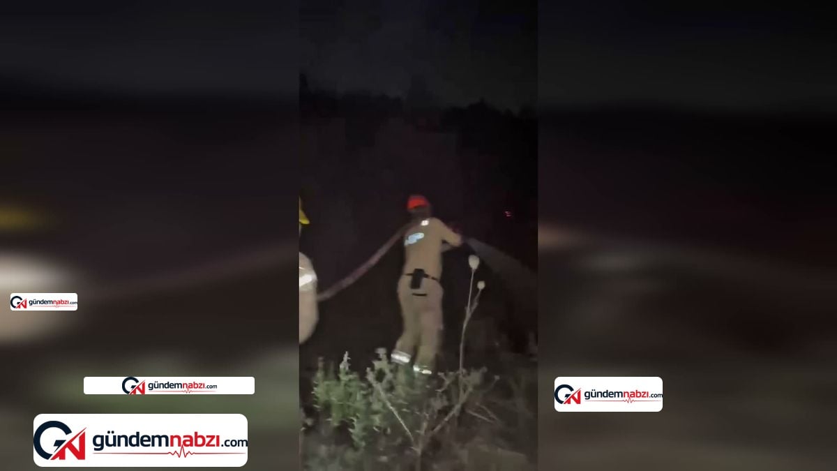 Bakan Yumaklı: 4 ilde yangınlar büyük ölçüde kontrol altında