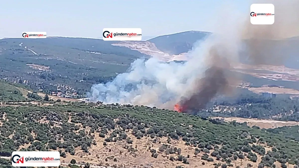 İzmir'in Bornova ilçesinde orman yangını